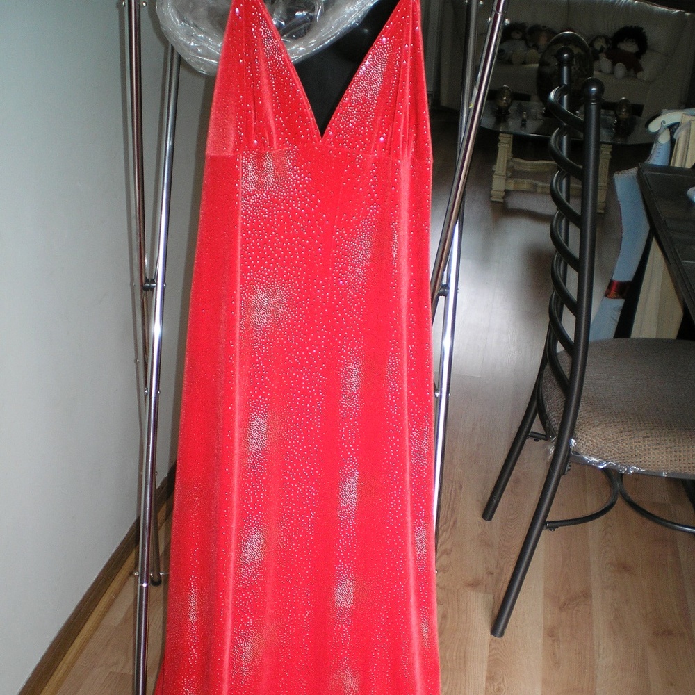 Red Velour Beauty - NWOT